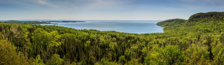 Lake Superior Forest - Lake Superior near Grand Portage, Minnesota