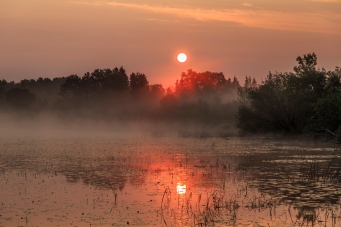 Misty Sunrise - Dora Lake, Chippewa National Forest, Minnesota