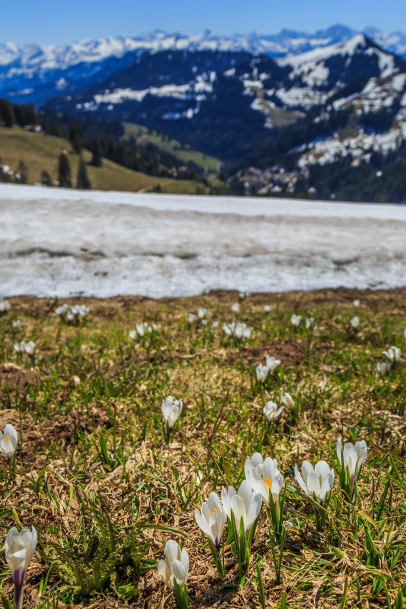 View from Mount Rigi, Switzerland