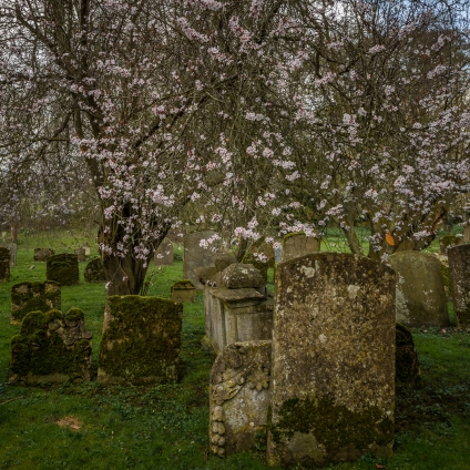 Old Cemetery - Cotswolds, England