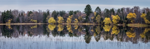 End of Fall Colors Reflecting -Dora Lake, MN